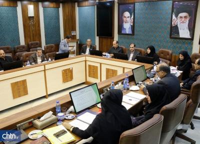 5 پیشنهاد معاونت صنایع دستی در کمیسیون تخصصی شورای عالی تصویب شد