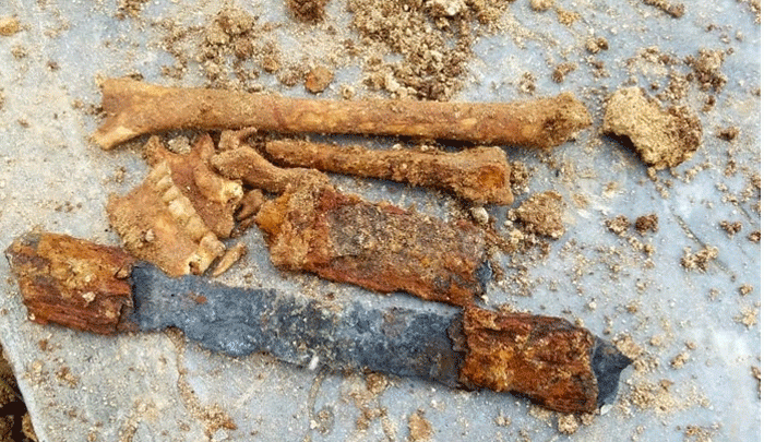 تدفین بیمار کرونایی باعث کشف یک گور باستانی شد
