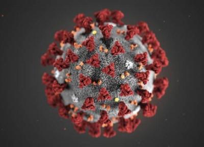 کدام متغیر ها در پایداری ویروس کرونا موثر هستند؟