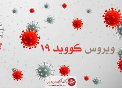 کرونا همچنان در کازرون پرسه می زند