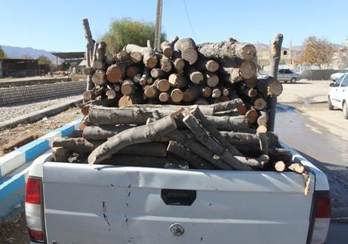 کشف و ضبط 7 تن چوب قاچاق گونه های ممنوع القطع در مهاباد