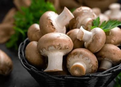 خوراکی هایی که خواب شما را بهتر می نمایند