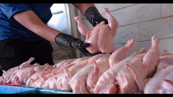 تامین گوشت مرغ مورد نیاز استان در ماه آینده