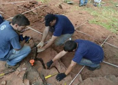 تور برزیل: دایناسور بی دندان در برزیل کشف شد