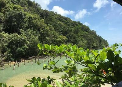 تور مالزی: همه چیز درباره پارک ملی پنانگ در مالزی
