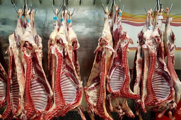 قیمت تازه گوشت گوسفندی و گوساله اعلام شد ، ران گوسفندی کیلویی 220 هزار تومان