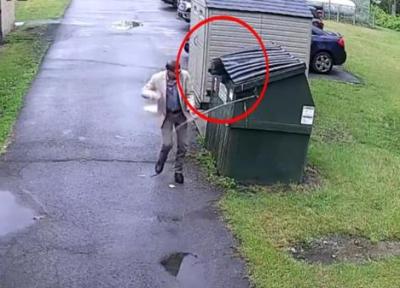 خرس در سطل زباله و فرار مدیر مدرسه، عکس