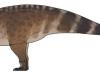 کشف بزرگترین دایناسور یک قرن اخیر در انگلیس، حیوان غول پیکری که گله ای می زیسته است!