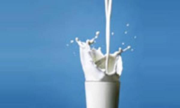 شیرمفیدترین ماده طبیعی دنیا شیرمفیدترین ماده طبیعی دنیا