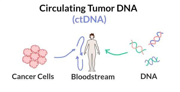 ctDNA چیست و چرا به یکی از ارکان پزشکی دقیق تبدیل شده؟