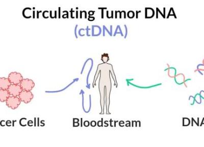 ctDNA چیست و چرا به یکی از ارکان پزشکی دقیق تبدیل شده؟